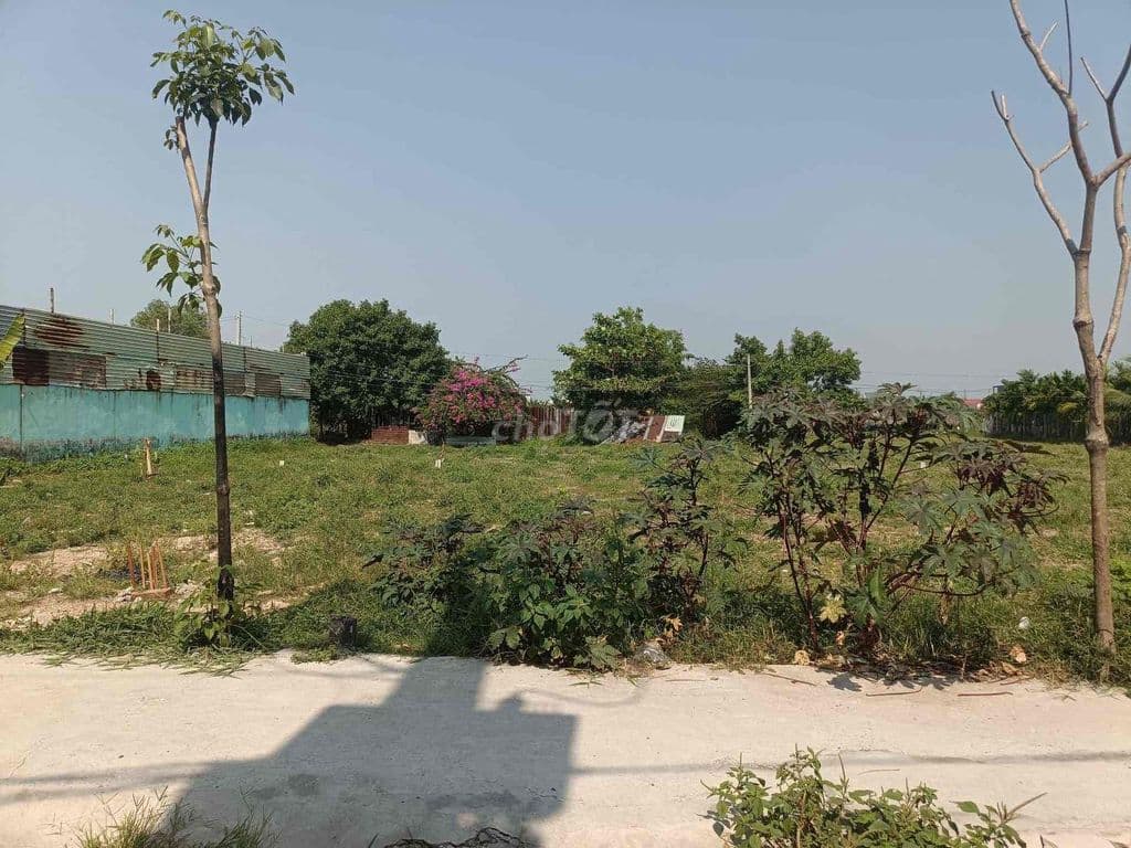 Bán đất Chợ Xuân Thới Thượng, 120m2 5 x 24m, đường nhựa xe tải trên 8 - Ảnh 2