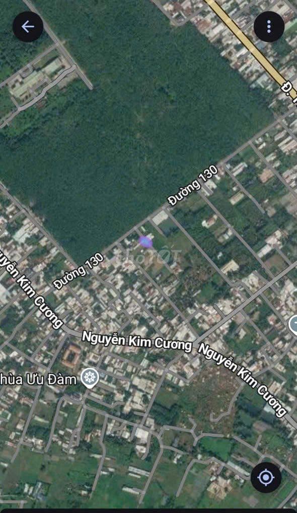 BÁN ĐẤT CHÍNH CHỦ – XÃ TÂN THẠNH ĐÔNG, HUYỆN CỦ CHI, TP.HCM - Ảnh 3