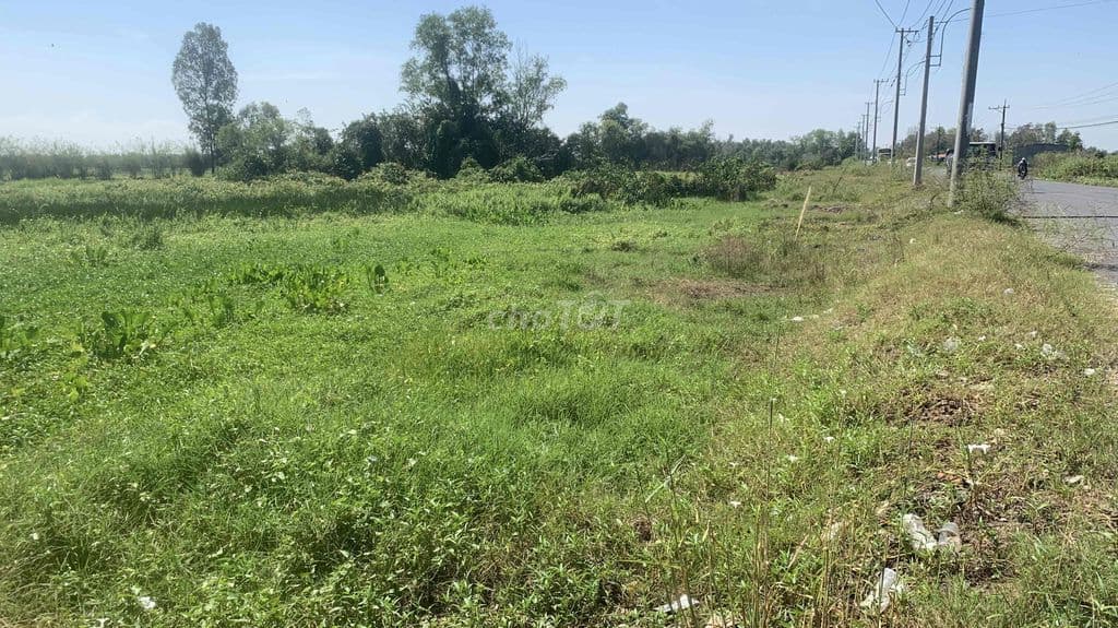 bán gấp MT TL7 4500m - Ảnh 3