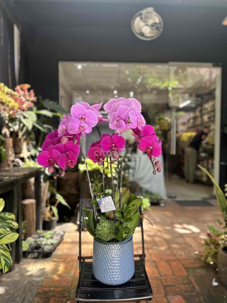 SANG QUÁN CÀ PHÊ TT SÁT CẦU THỊ NGHÈ Q1 - Ảnh 3