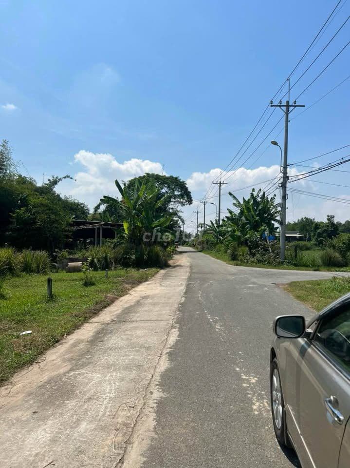 Chủ định cư xa,cần bán gấp-Đường 648,Thái Mỹ,DT190m2,750tr, SHR,thổ cư - Ảnh 3