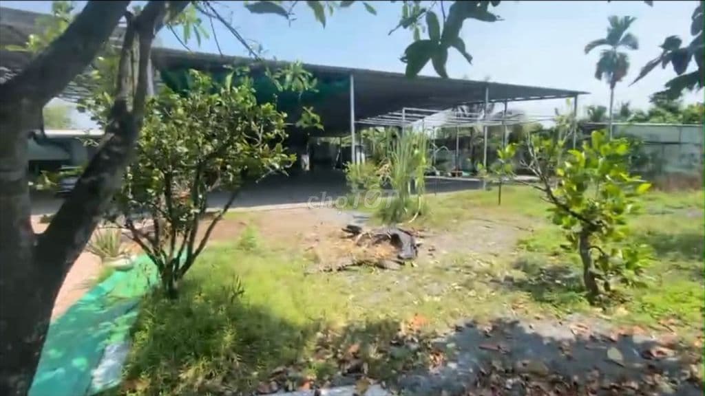 BÁN ĐẤT THỔ CƯ – CÁCH VÀNH ĐAI 3 300M – 23 TỶ TL Ở BÌNH MỸ, CỦ CHI