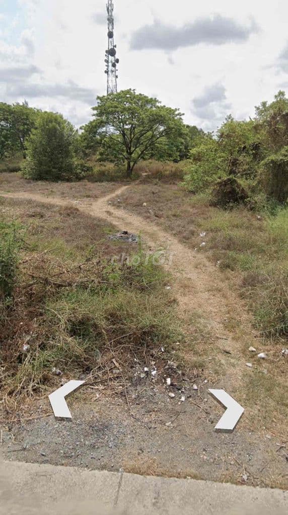 1065M2 TMDV MT ĐÌNH BÌNH TRƯỜNG - Ảnh 3