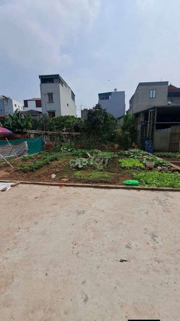 6 tỷ có 56m đất phúc lợi