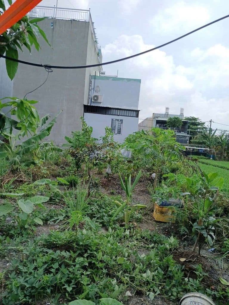 CẦN BÁN ĐẤT KHU VỰC CHỢ GẤU ĐÔNG THẠNH.