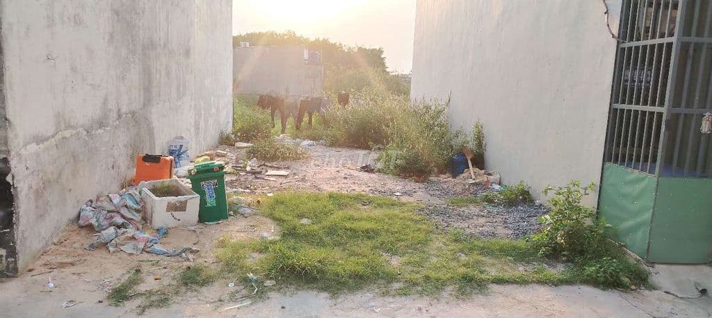 CHỦ GẤP BÁN LÔ ĐẤT ĐẸP NGANG 5 X 11 - GIÁ 3.4TỶ ĐƯỜNG 5M XE HƠI TRÁNH