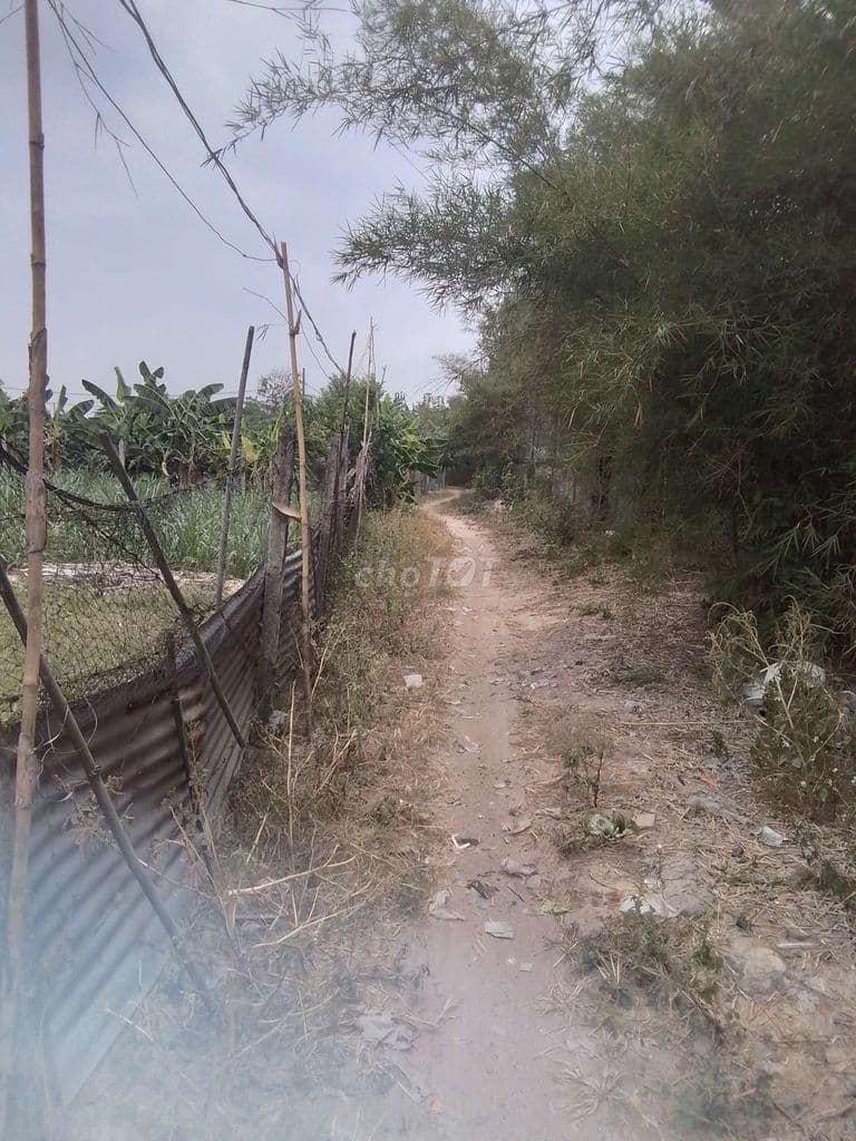 Bán đất xã trung an, huyện củ chi - Ảnh 3