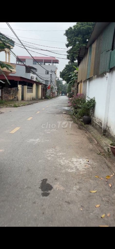 CHÍNH CHỦ CẦN BÁN 113m2 ĐẤT VIÊN NGOẠI, THUẬN AN. - Ảnh 3