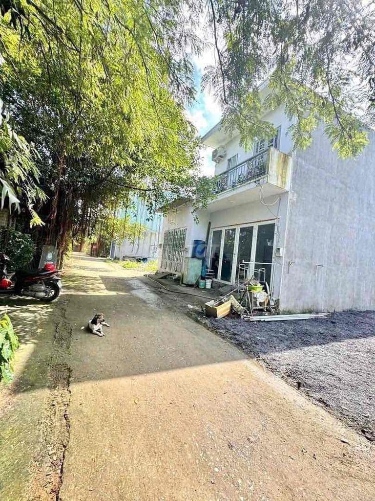 Hạ 200 triệu Bán Nhanh Lô Đất Thổ Cư 5 x 12 Shr Hẻm Xe Hơi - Ảnh 3