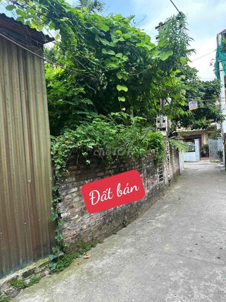 Chính Chủ Bán Đất Phúc Lợi Mặt Ngõ Oto Vào Giá Đầu Tư chỉ Hơn 1xxtr/m