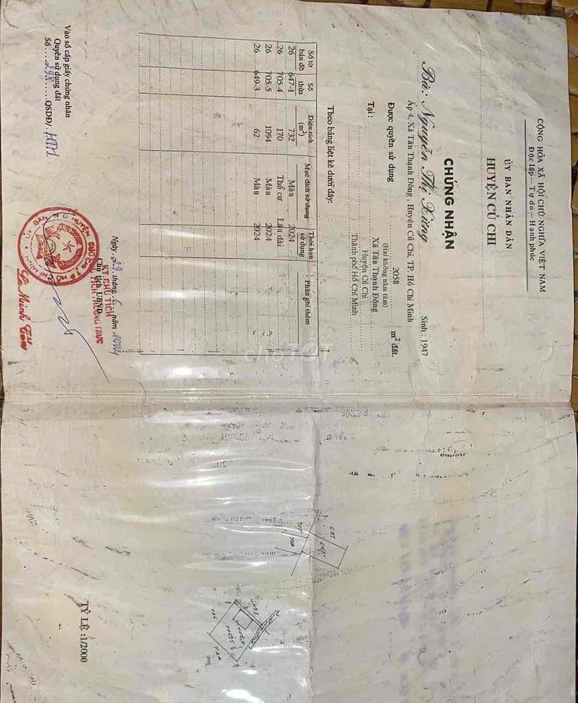 Đất Tân Thạnh Đông cũ chính chủ - Ảnh 3