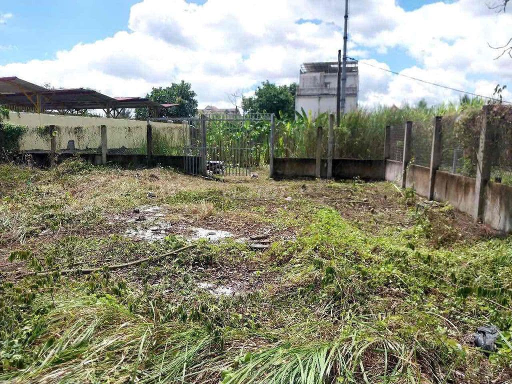 bán 1239m có 300m thổ cư xã quy đức sát trường học cấp 2 - Ảnh 2