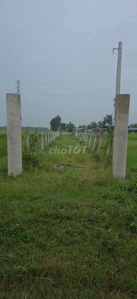 Đất chính chủ, có mặt tiền đường CẦU DÂY, bán gấp, thương lượng. - Ảnh 2