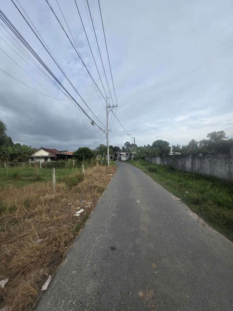 bán gấp lô đất 3266m đường bến than xã bình mỹ - Ảnh 2