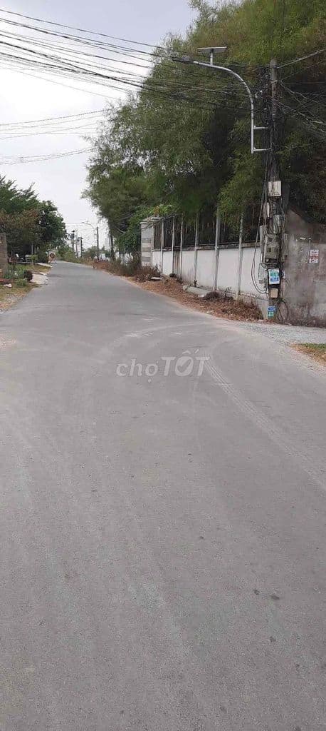 Đất chính chủ Bình Chánh giá rẻ sdt *** - Ảnh 2