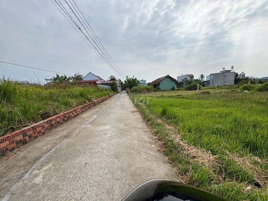 Mở bán dự án cách phà cát lái 2km 5x16m 80m2 giá 1.75 tỷ đất thổ cư - Ảnh 3