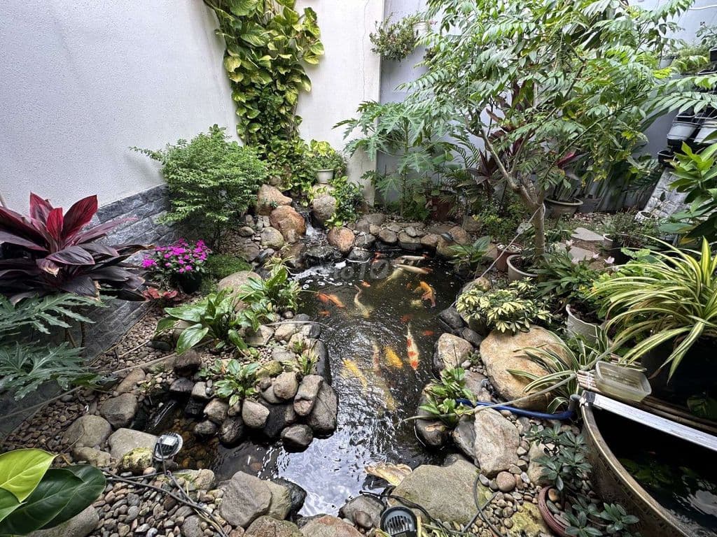 Mặt tiền Khủng - Ngang 12M – Lê Thị Hoa – Chỉ 100M Ra QL1A - Ảnh 3