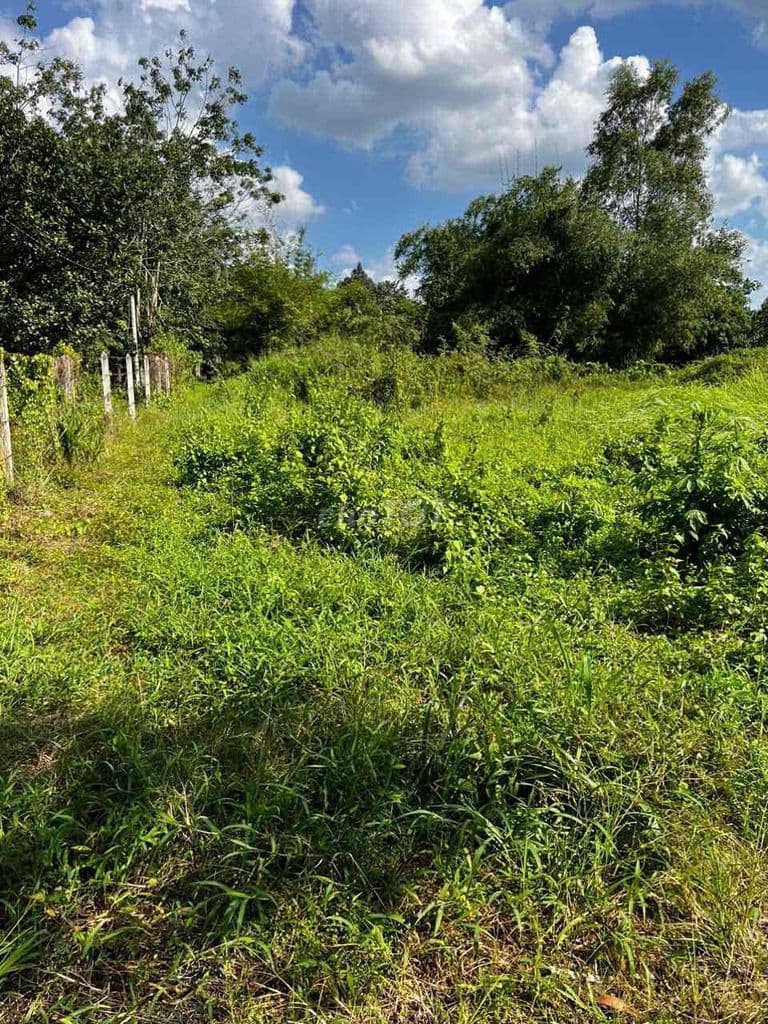 Bán đất chính chủ tại An Nhơn Tây gần tỉnh lộ 15 - Ảnh 3