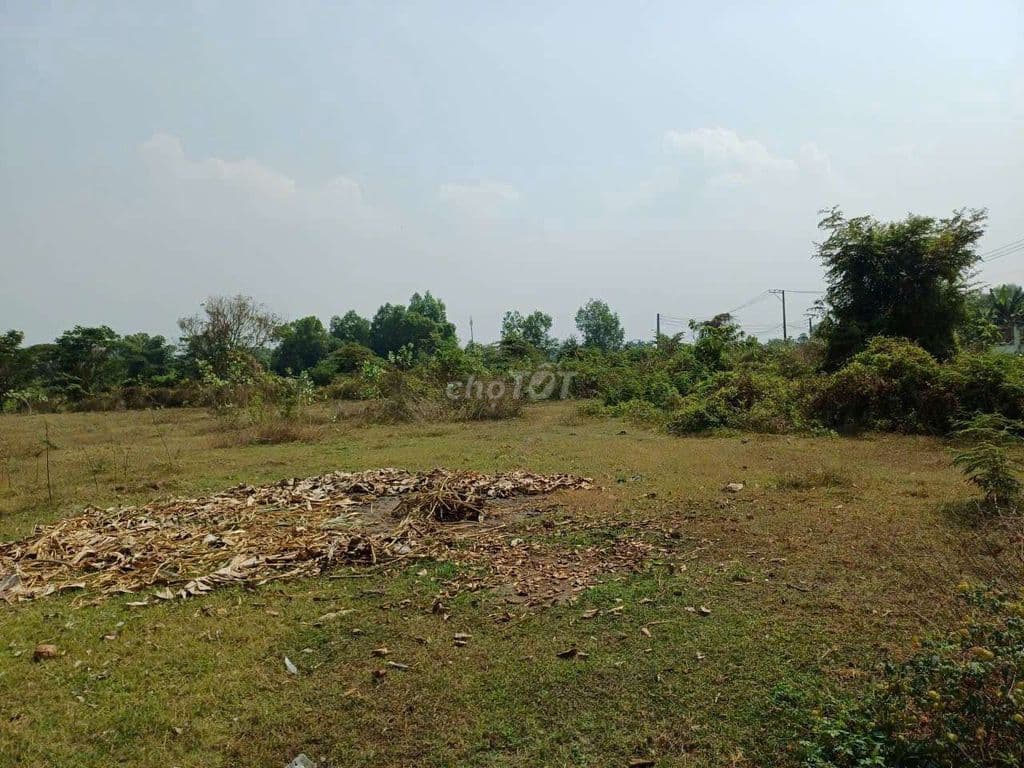 🌿 SIÊU PHẨM ĐẤT LỚN HIẾM –2 LÔ ĐẤT MỖI LÔ HƠN 1000m² TỔNG HƠN 2000m,