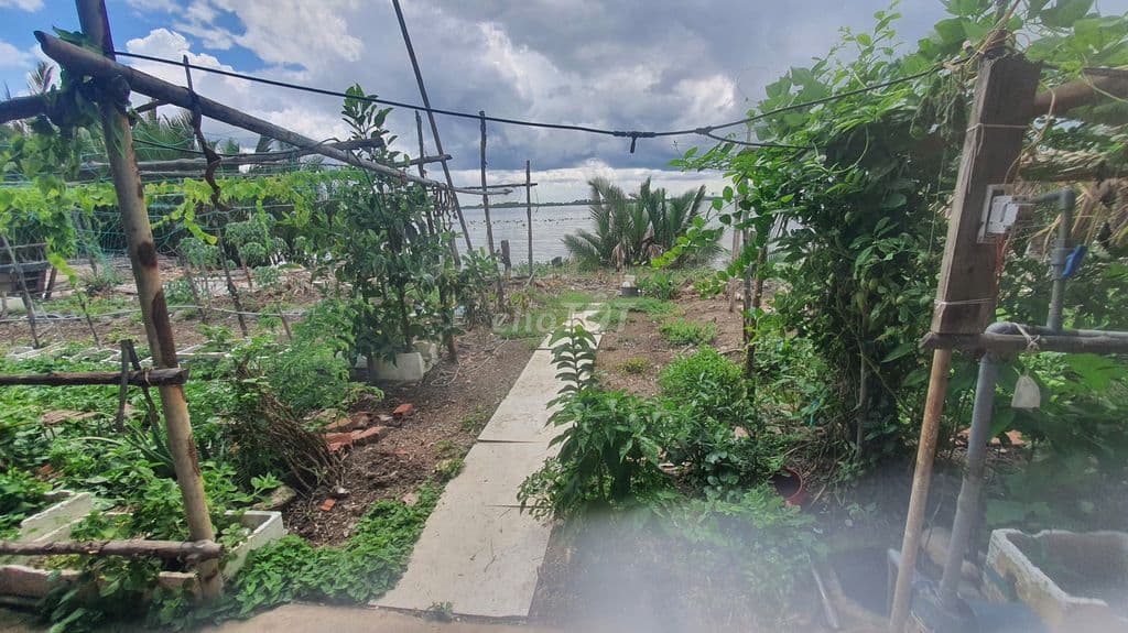 Sổ riêng 300m2 đất nông nghiệp Nhà Bè