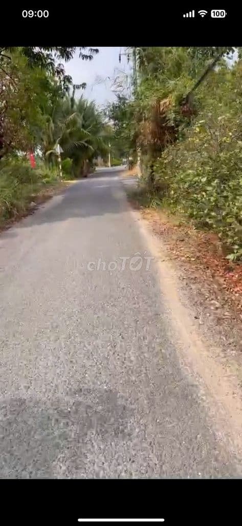 CẦN BÁN GẤP LÔ ĐẤT ĐẸP - Ảnh 2