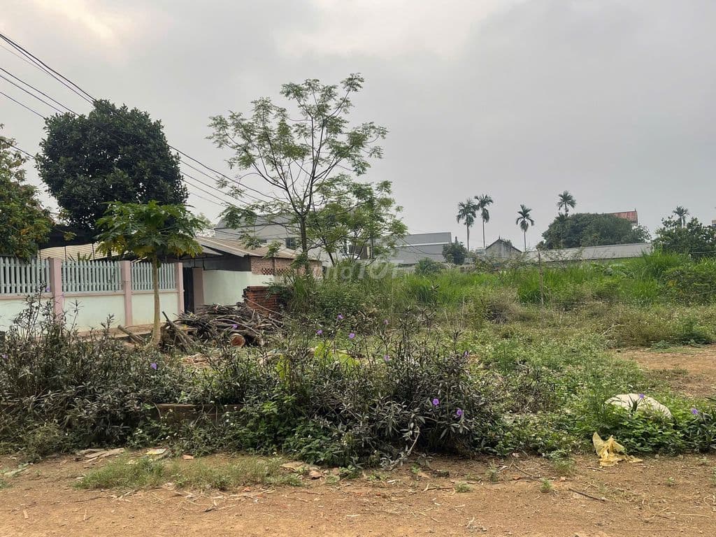 BÁN ĐẤT PHÚ CÁT – ĐỐI DIỆN CNC2 –GẦN NHÀ MÁY IN TIỀN - Ảnh 2