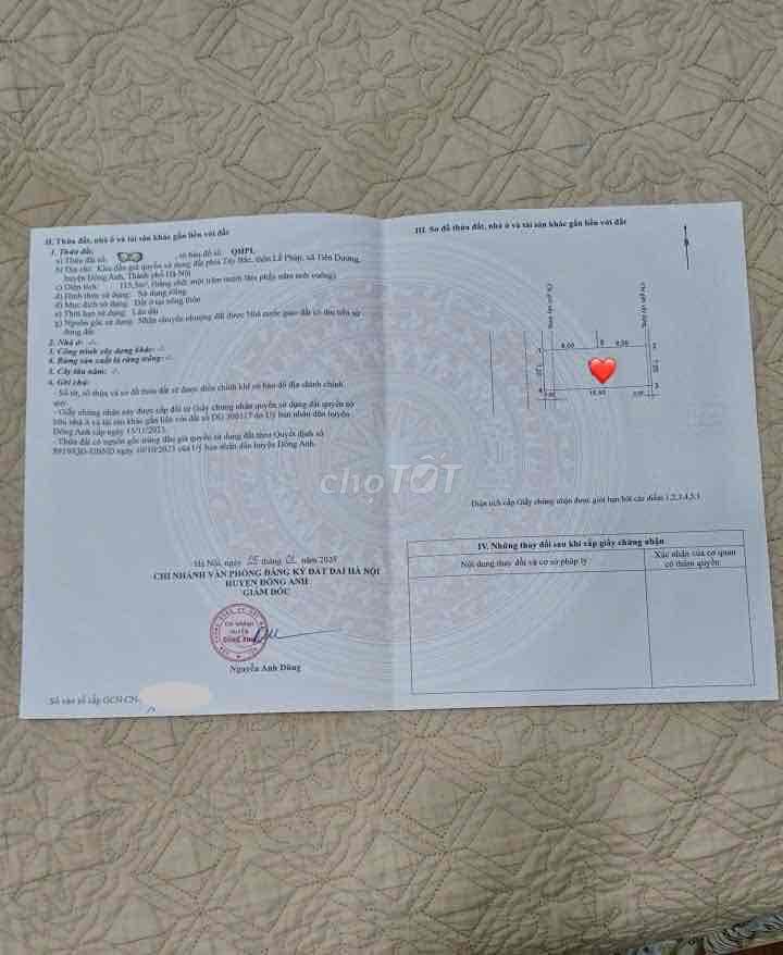 💥 ĐẤU GIÁ LỄ PHÁP - TIÊN DƯƠNG - GẦN ĐƯỜNG VÕ NGUYÊN GIÁP - CẦU NHẬT T - Ảnh 2