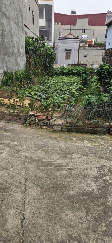 💥 🍁 ĐẤT VUÔNG 58m2 Yên Nhân, Tiền Phong - Ô Tô 🚘 Hiếm Có – Nhỏ Tiền