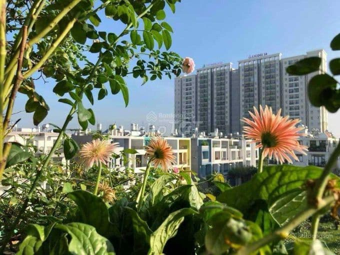 Căn hộ The Parkland CV rộng, hồ bơi mát mẻ (2pn 2wc) có nội thất