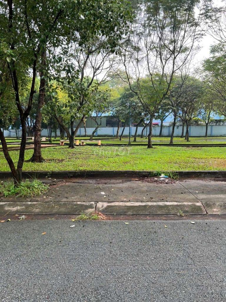 bán đất kdc 47mẫu, An Phú Tây. DT 8x20=160m - Ảnh 2