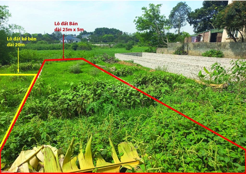 Bán 125m² full thổ cổ đông sơn tây , 3 mặt thoáng, Đường 9m ô tô tránh