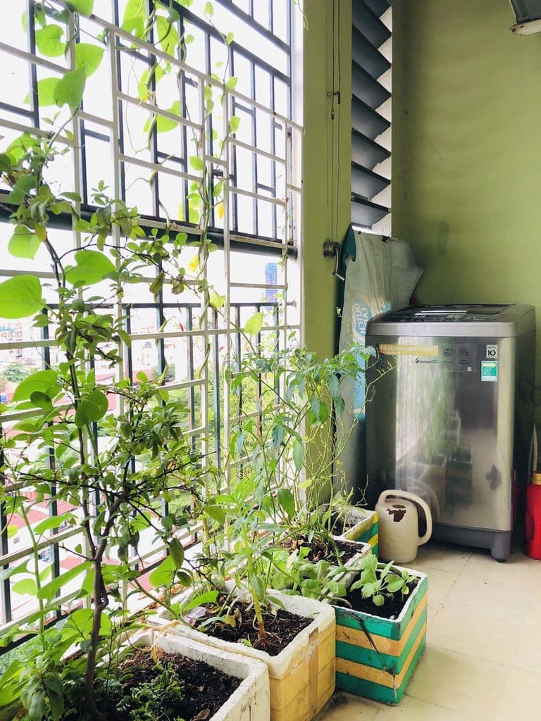 BÁN GẤP CHUNG CƯ CỬU LONG BÌNH THANH 63M2 GIÁ 3,4 TỶ