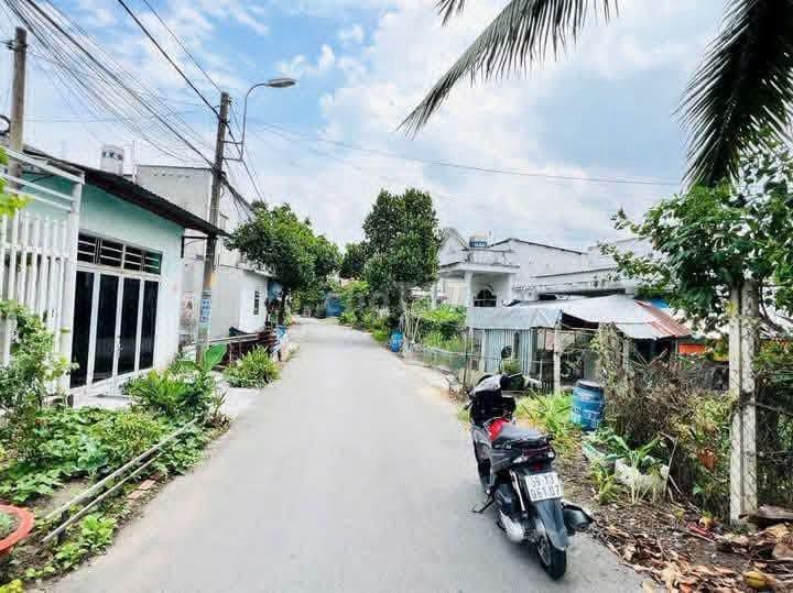 Chủ ngộp bán đất 133m2 TC ngay X.Tân Thông Hội Củ Chi Giá 815 triệu - Ảnh 3