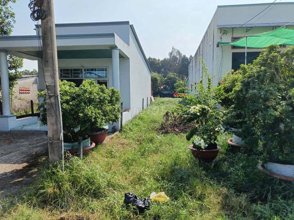 Đất thổ cư 153m2 ngang 6 thuộc xã Tân Phú Trung Củ Chi, giá 600 triệu