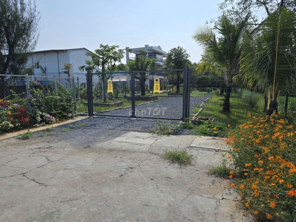 bán đất nền thổ cư xã Bình Hưng- Phong phú, TP HCM - Ảnh 2
