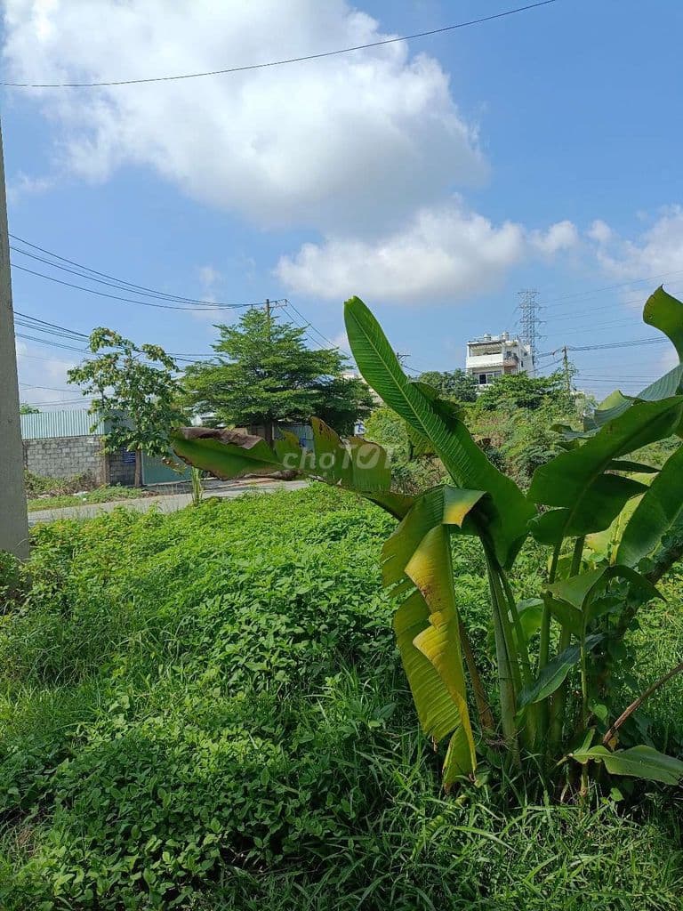Bán đất giá rẻ, đầu tư , trong khu dự án Bách Khoa - Ảnh 3