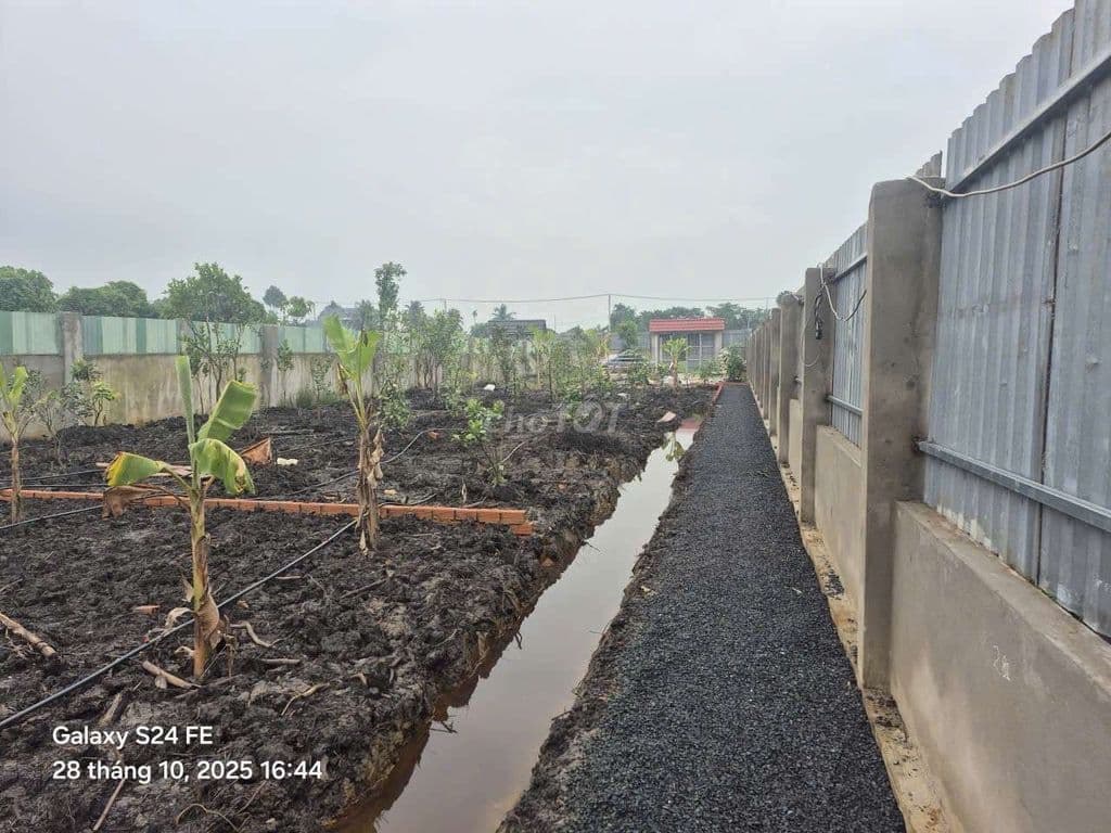 vườn 2 mặt tiền 1000m2 mặt tiền đường 174 và rạch Cây Điệp giá rẻ - Ảnh 3
