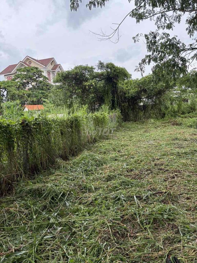 Đất bán GIÁ NGỢP 3tỷ650 THỔ CƯ TOÀN PHẦN