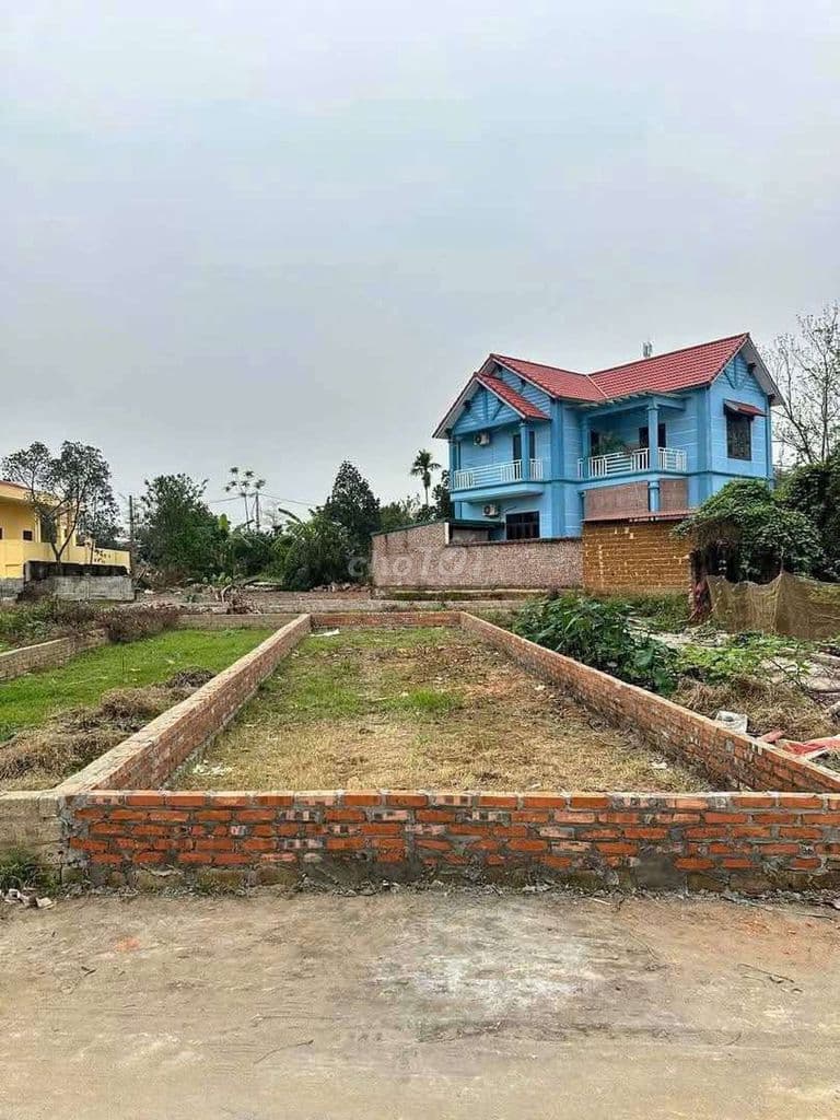 đất nền giá rẻ - Ảnh 3