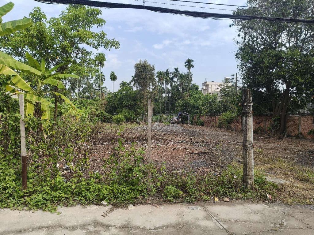 Bán đất MT TL42 Q12 .DT:16x36m - Ảnh 2