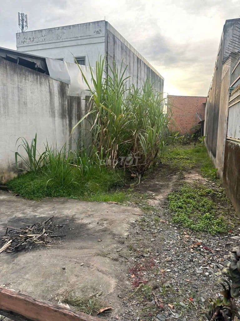 Bán đất mặt tiền Hóc Môn thuộc Xã Đông Thạnh giáp sát Q12 Tphcm (6) - Ảnh 2