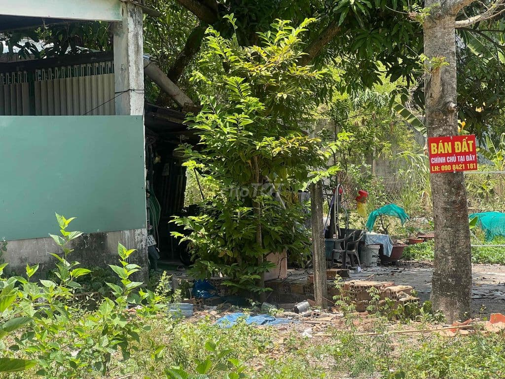 cần tiền bán gap - Ảnh 3