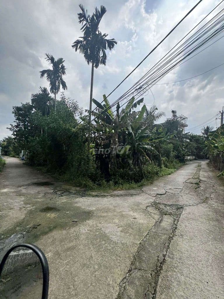 Đất đẹp 500m2 (20m x 23m) có 100m2 thổ cư cách Hà Duy Phiên 300m - Ảnh 2