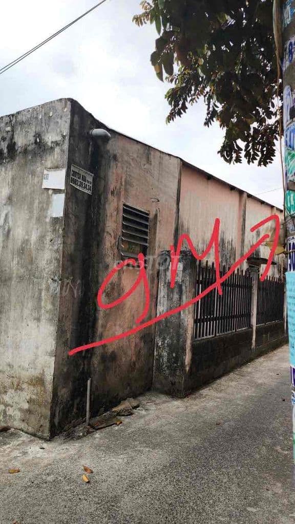 Đất 9,6x13m Sổ 124m2 Hẻm Ô Tô Thông 1/30m Đg Nhựa Sát Phan Văn Hớn - Ảnh 3