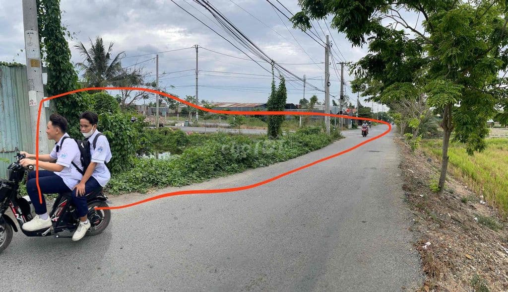 ĐẤT BÌNH CHÁNH SỔ HỒNG RIÊNG ĐẤT AO NUÔI CÁ - Ảnh 2