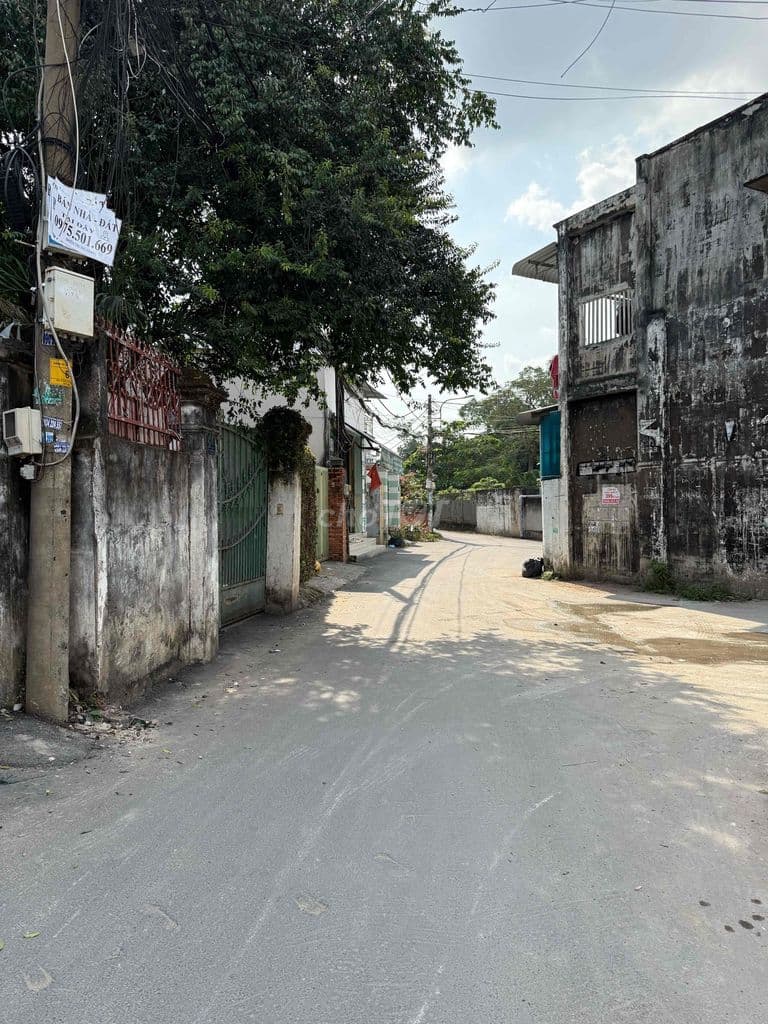 góc 3 mặt tiền đường 8 linh trung,thủ đức - Ảnh 3