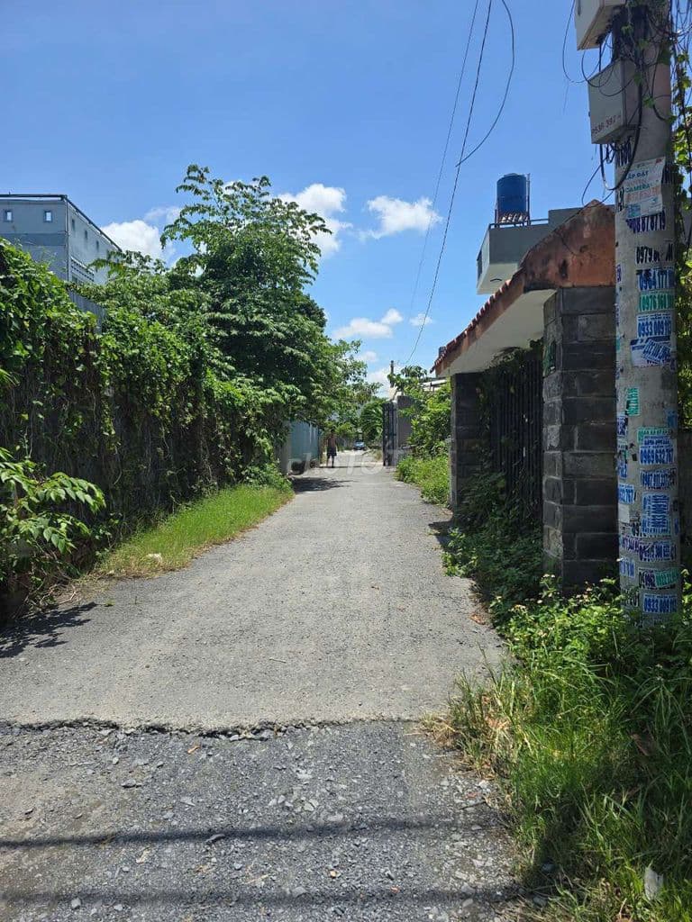 ĐẤT TX43, DT:118m2, SỔ HỒNG RIÊNG, ĐƯỜNG OTO THÔNG, CHỈ 4.3 TỶ - Ảnh 3