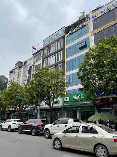 Bán nhà Phân lô Trần Quốc Hoàn 7 tầng, thang máy, nội thất đẳng cấp