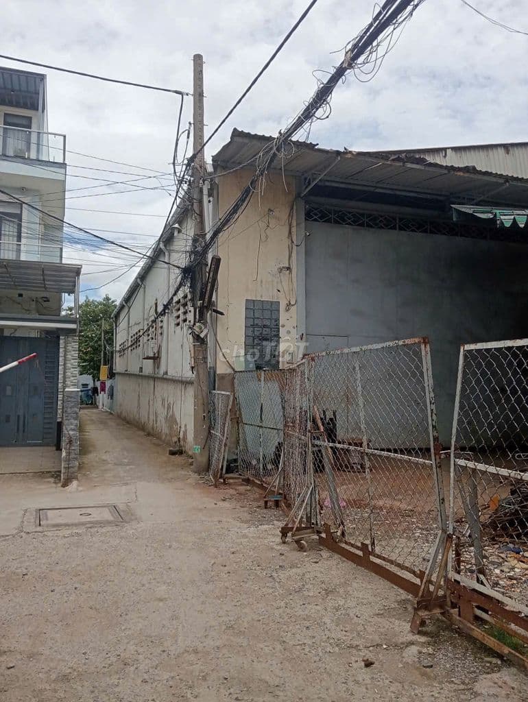 2/ Phan Văn Hớn hẻm Xe hơi 5m nhựa 4x18m cách Trường Chinh 200m - Ảnh 2