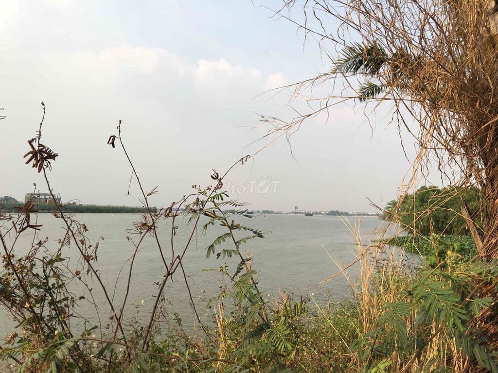 Bán đất view sông lớn, cách Vinhome 1 cây cầu - Ảnh 2